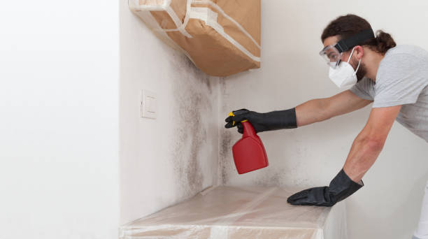 Professional Crawl Space Mold Removal technician working in Auburn, IL