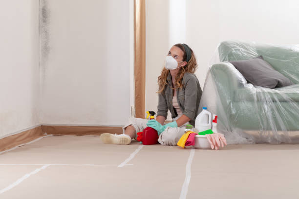 Reliable Crawl Space Mold Removal contractor in Auburn, IL by WQB Mold Removal